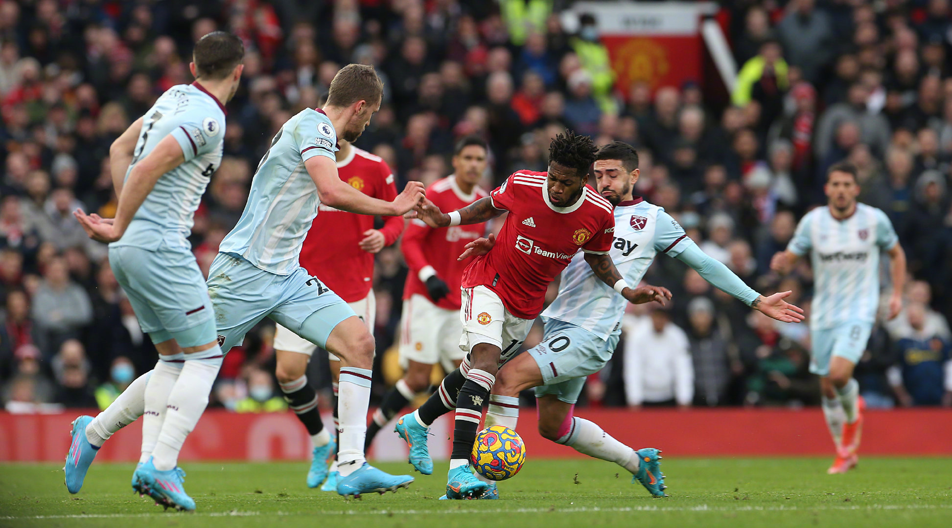 已经成长为 已经成长为